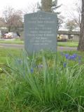 image of grave number 465706